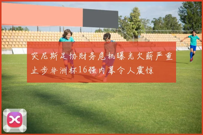 突尼斯足协财务危机曝光欠薪严重止步非洲杯16强内幕令人震惊