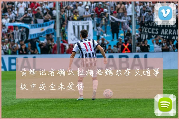 黄蜂记者确认拉梅洛鲍尔在交通事故中安全未受伤